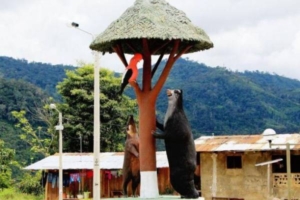 lugares turisticos de Jaen cajamarca que hacer y que ver