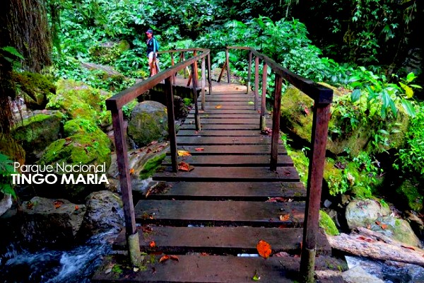 El Parque Nacional de Tingo María